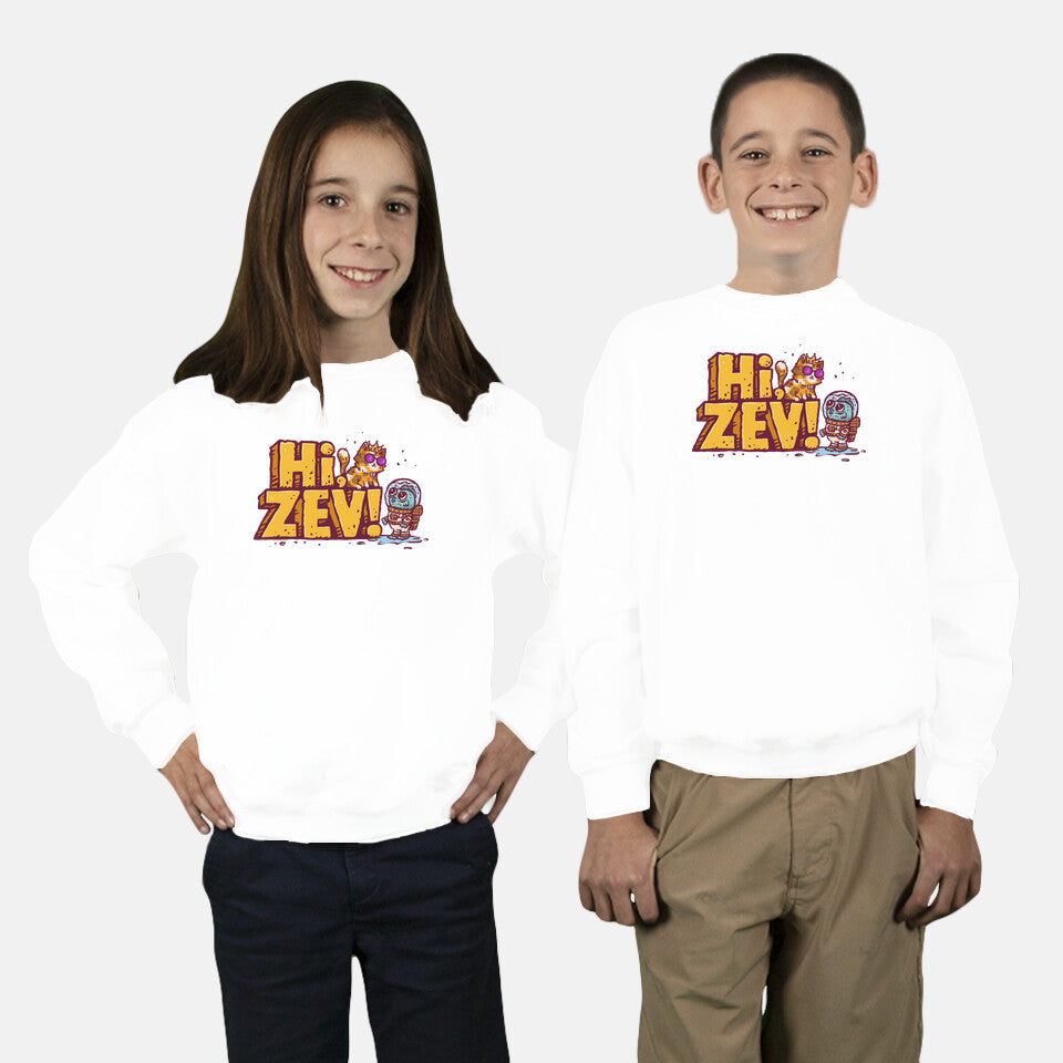 Hi Zev