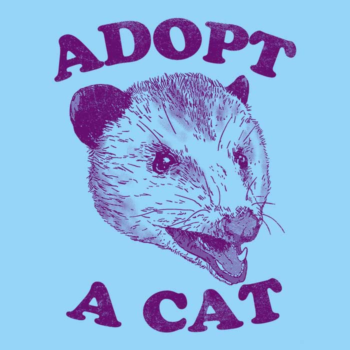 Adopt a Cat - 3/4 Sleeve Raglan