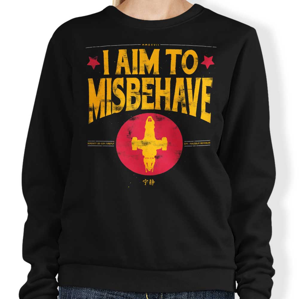 Aim to Misbehave