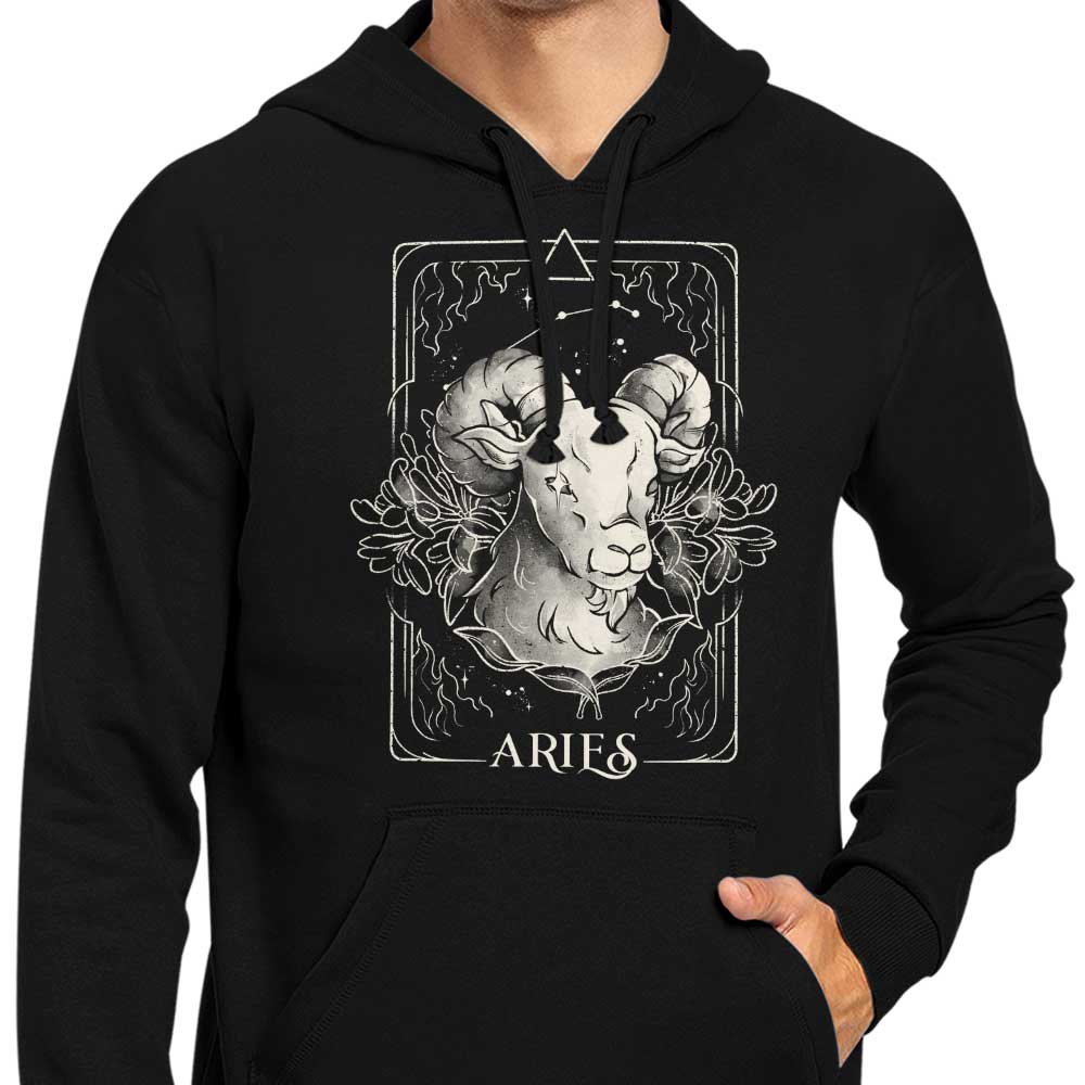 Aries (Edu.Ely)
