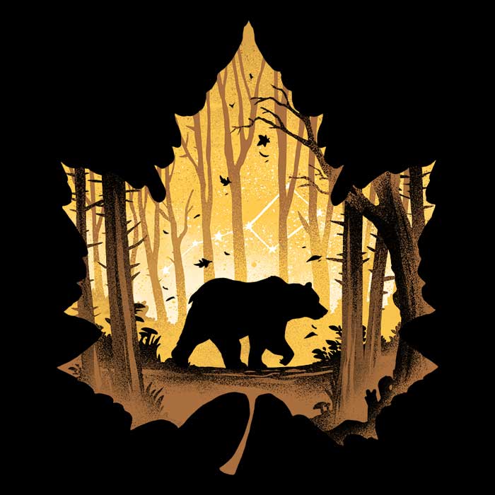 Bear Protector