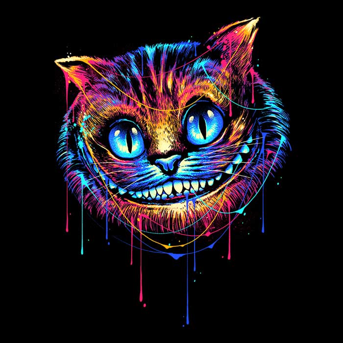 Colorful Cat