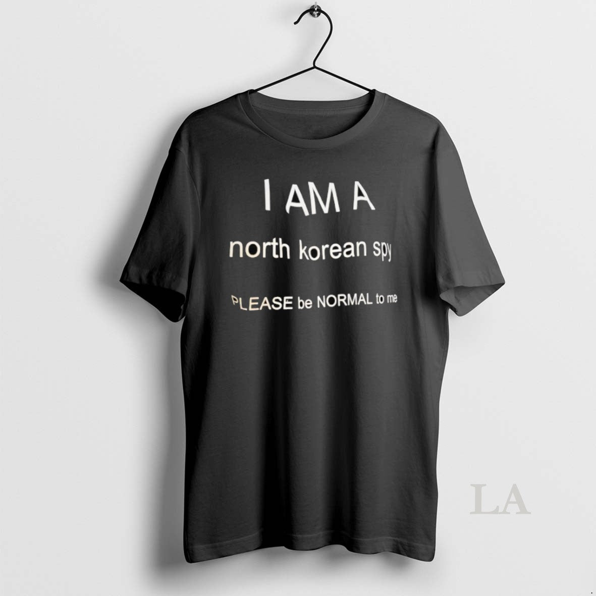 Original I Am A North Korean Sp Please Be Normal To Me