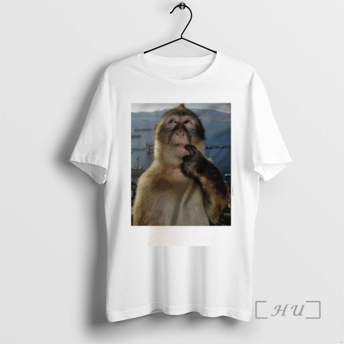 Trending Monkey Thinking Meme