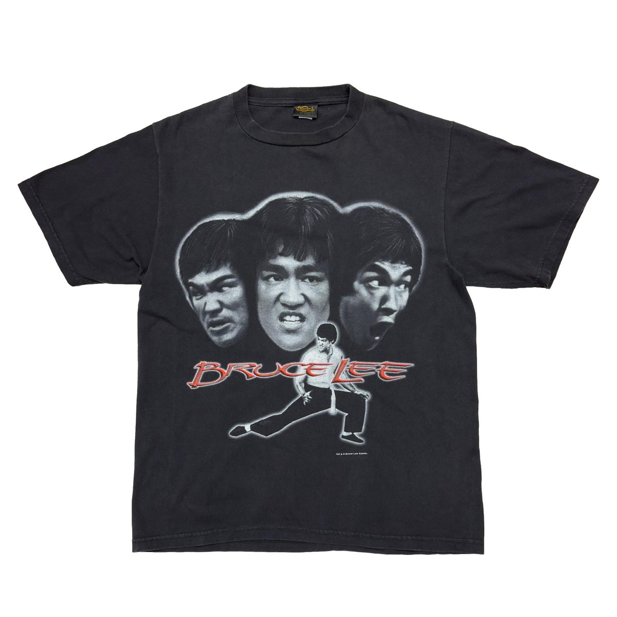 BRUCE LEE THE DRAGON 龍 CHANGES LARGE 6133