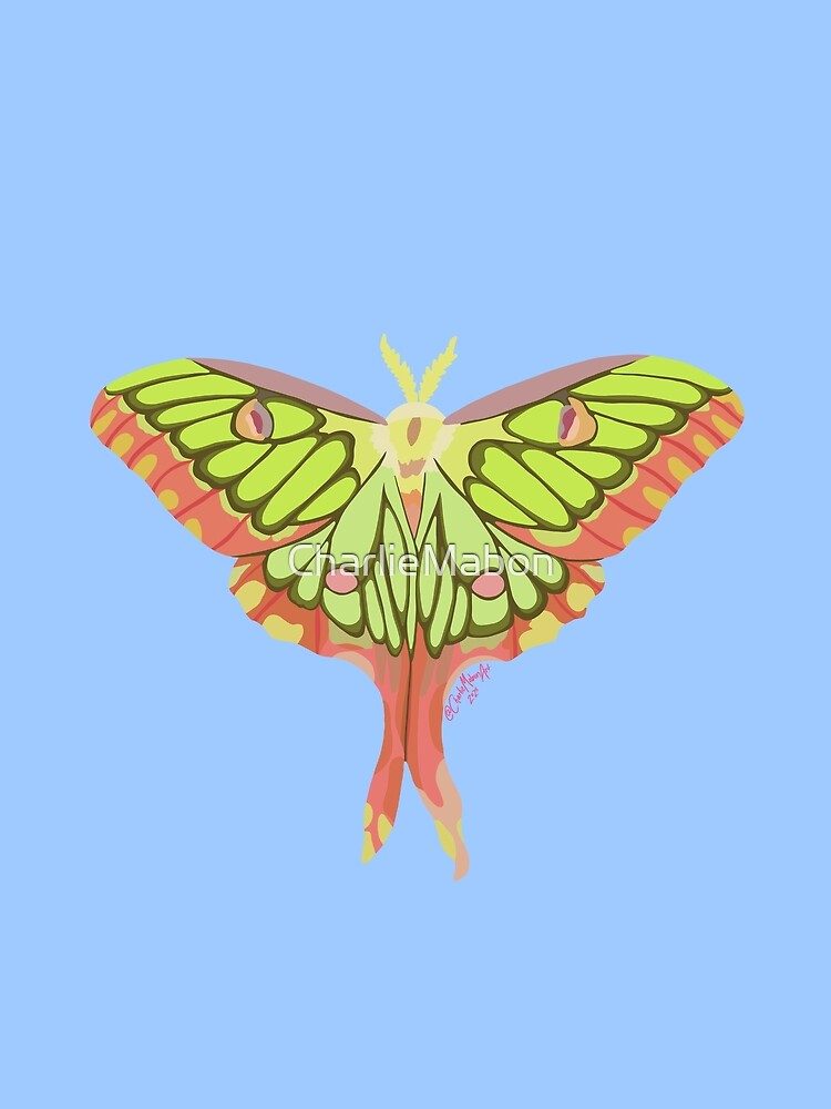 Actias Moth by CharlieMabon