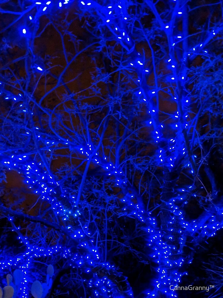 Magical blue  lights by  CannaGranny™