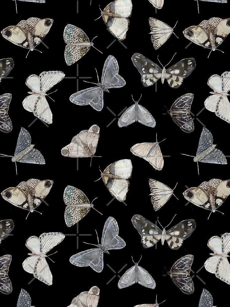 Moths by Amy Hadden