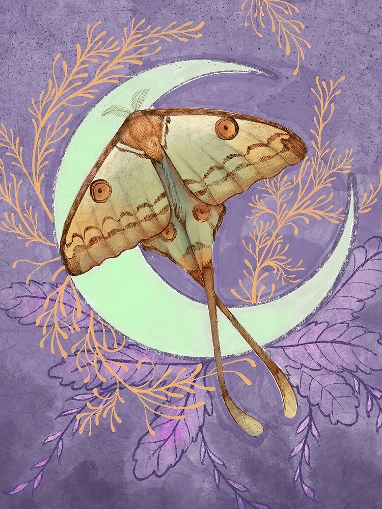 Purple Comet Moth Art by Leyguthart