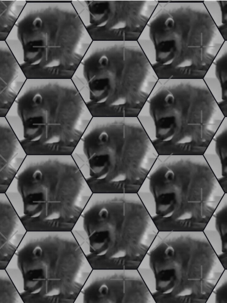 Baby Jimothy Raccoon Hex Pattern by Shy Fractal Designs