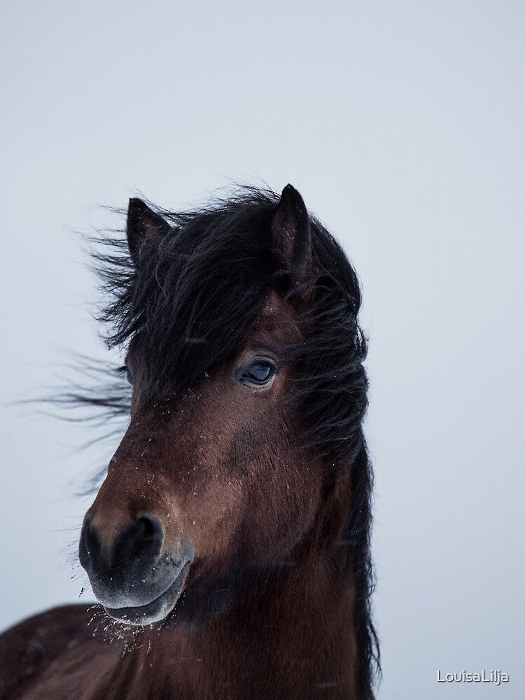 snowy days by LouisaLilja