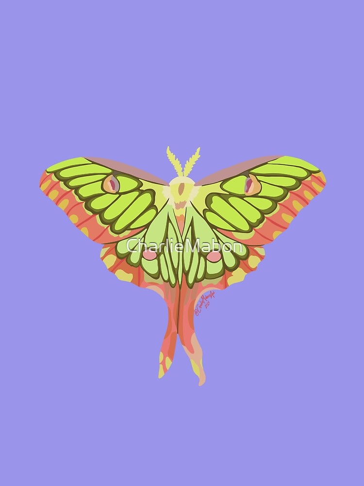 Purple Actias Moth by CharlieMabon
