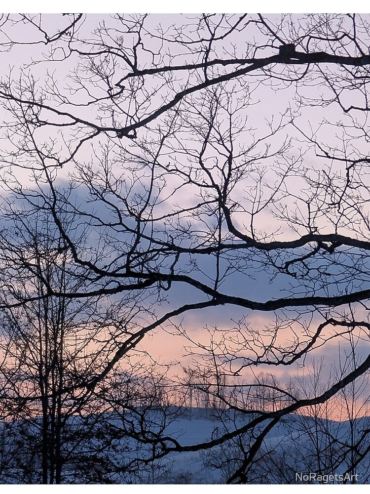 Winter Twilight Through Bare Branches by NoRagetsArt
