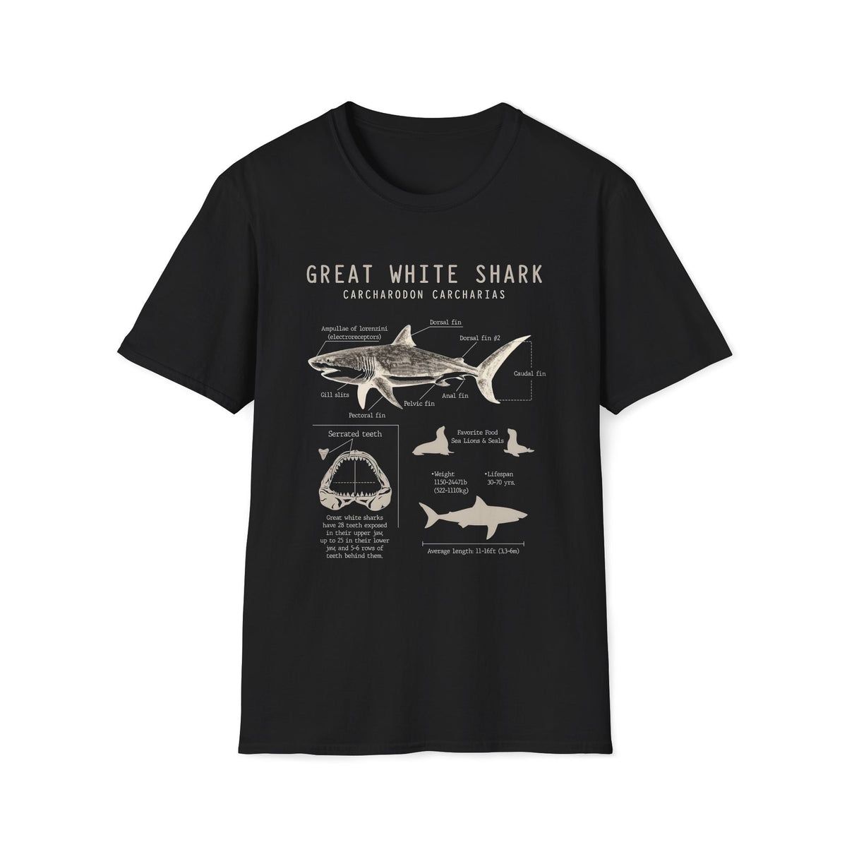 Great White Shark Anatomy Unisex