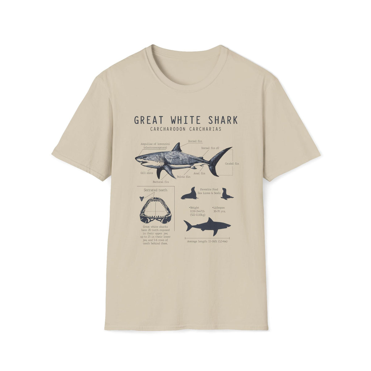 Great White Shark Anatomy Unisex