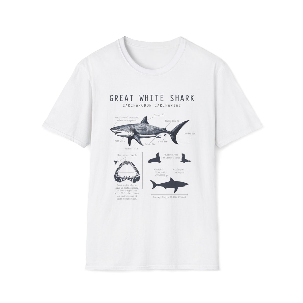 Great White Shark Anatomy Unisex
