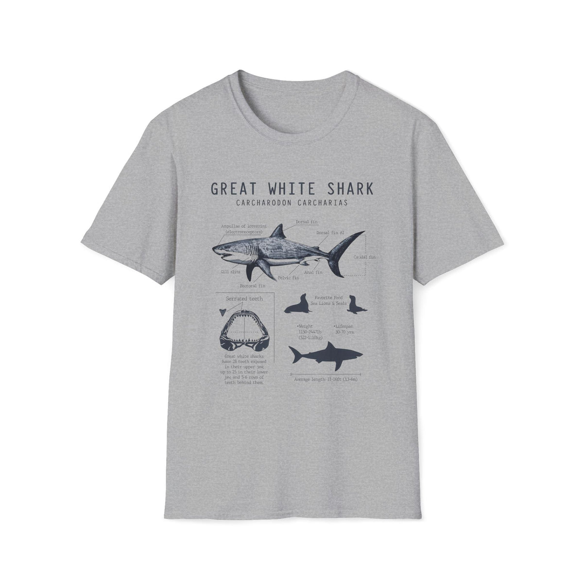 Great White Shark Anatomy Unisex