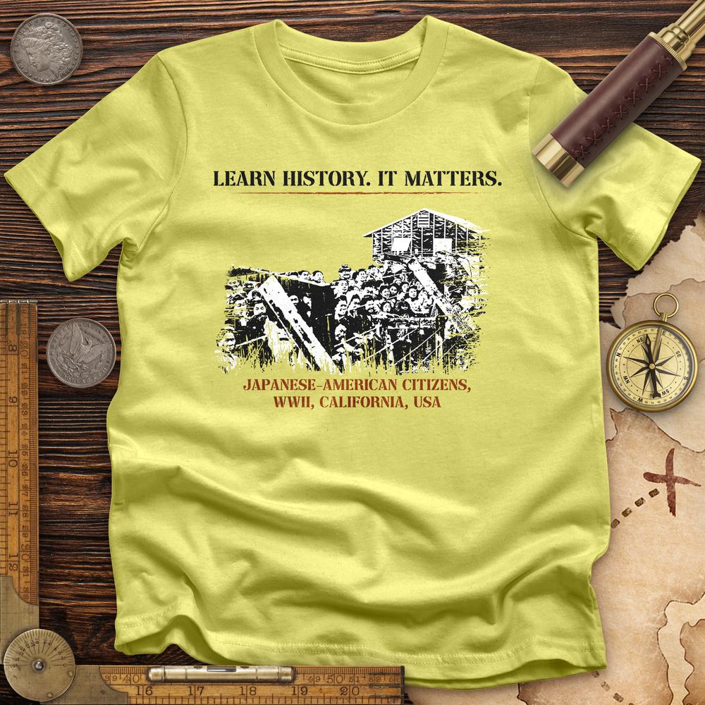 Learn History It Matters