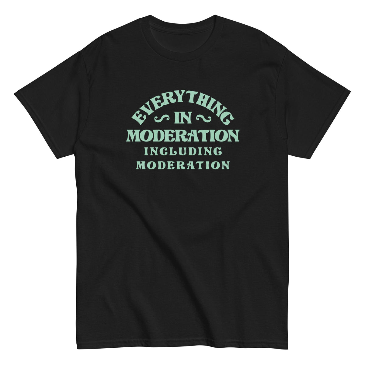 Everything In Moderation Including Moderation Men's Classic Tee