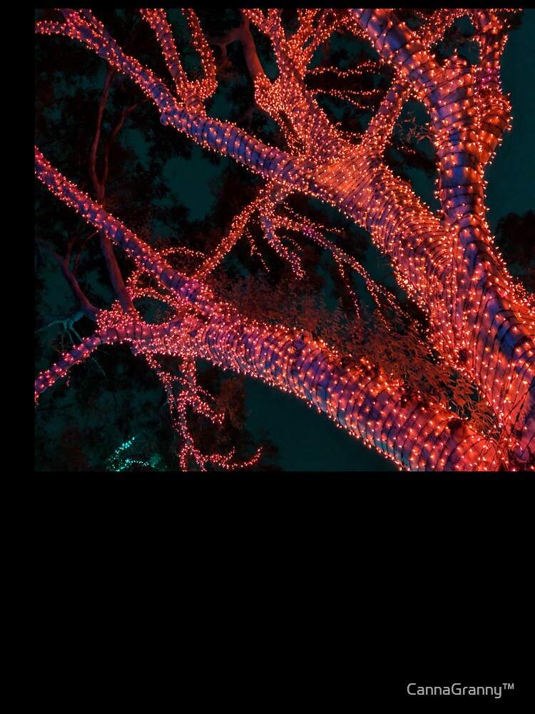 Mejectic lights by  CannaGranny™