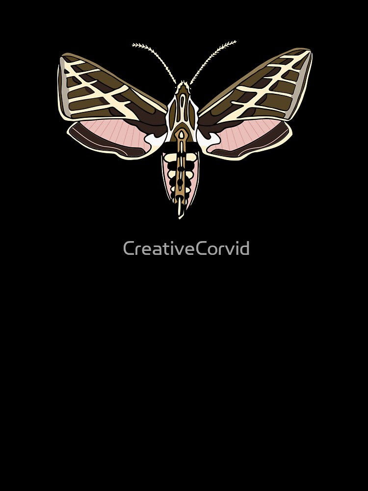 White-lined Sphinx Moth by CreativeCorvid