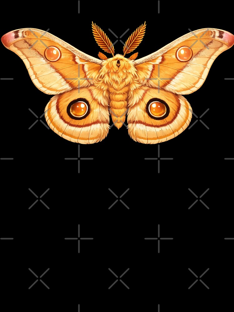 Emperor Gum Moth Opodiphthera eucalypti Anime Style by Harpagann