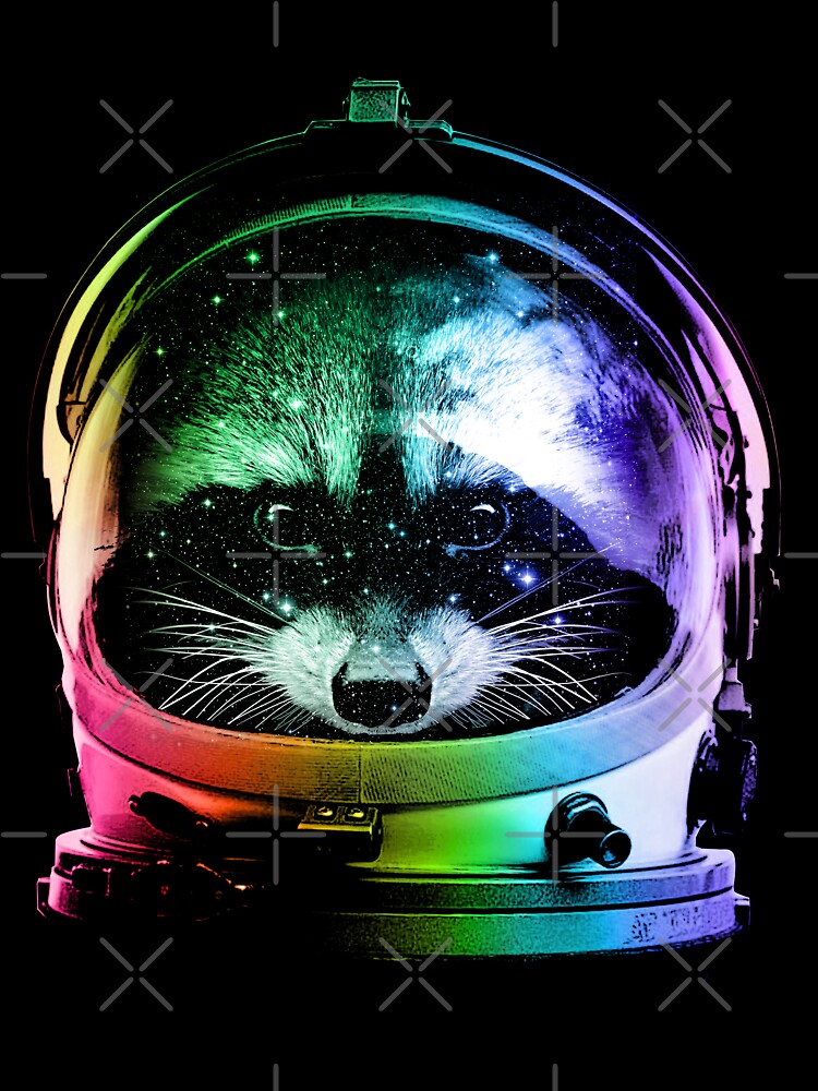 Astronaut Raccoon by clingcling
