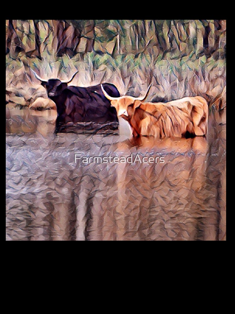 Highland cows wading in the river by FarmsteadAcers