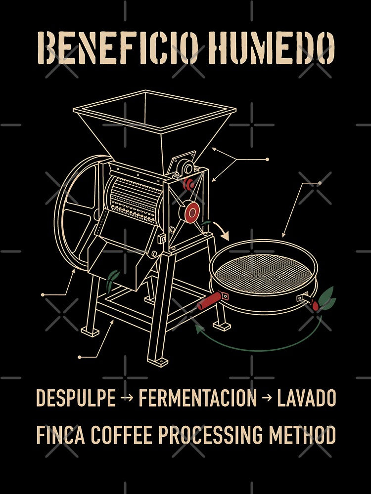 Beneficio Humedo Finca Coffee Processing Method Diagram by SplashTastic
