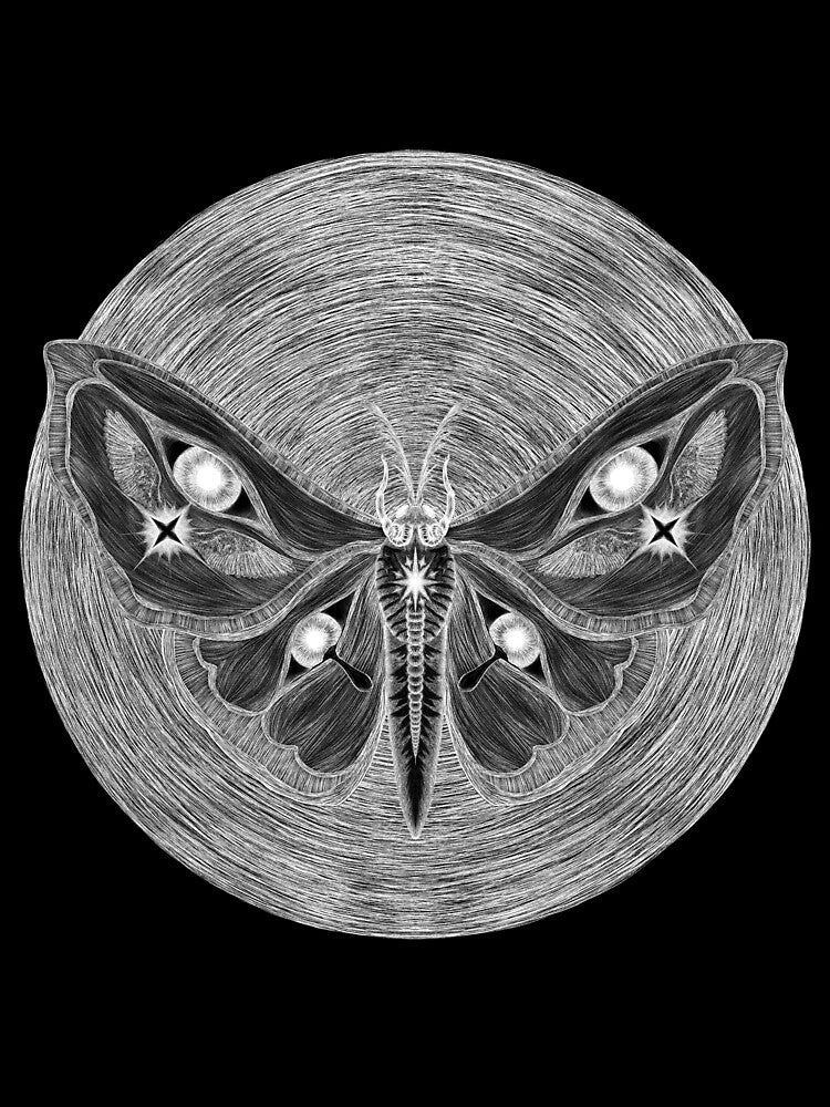 Moth by Bramby
