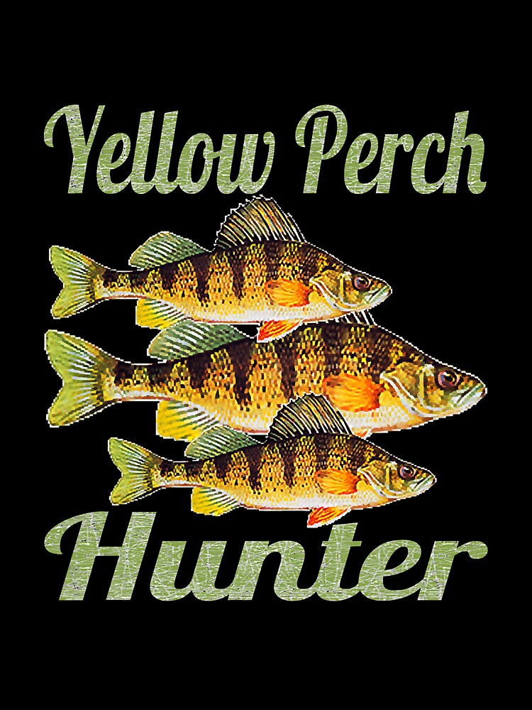 Yellow Perch Hunter Fishing Freshwater by unassertive19