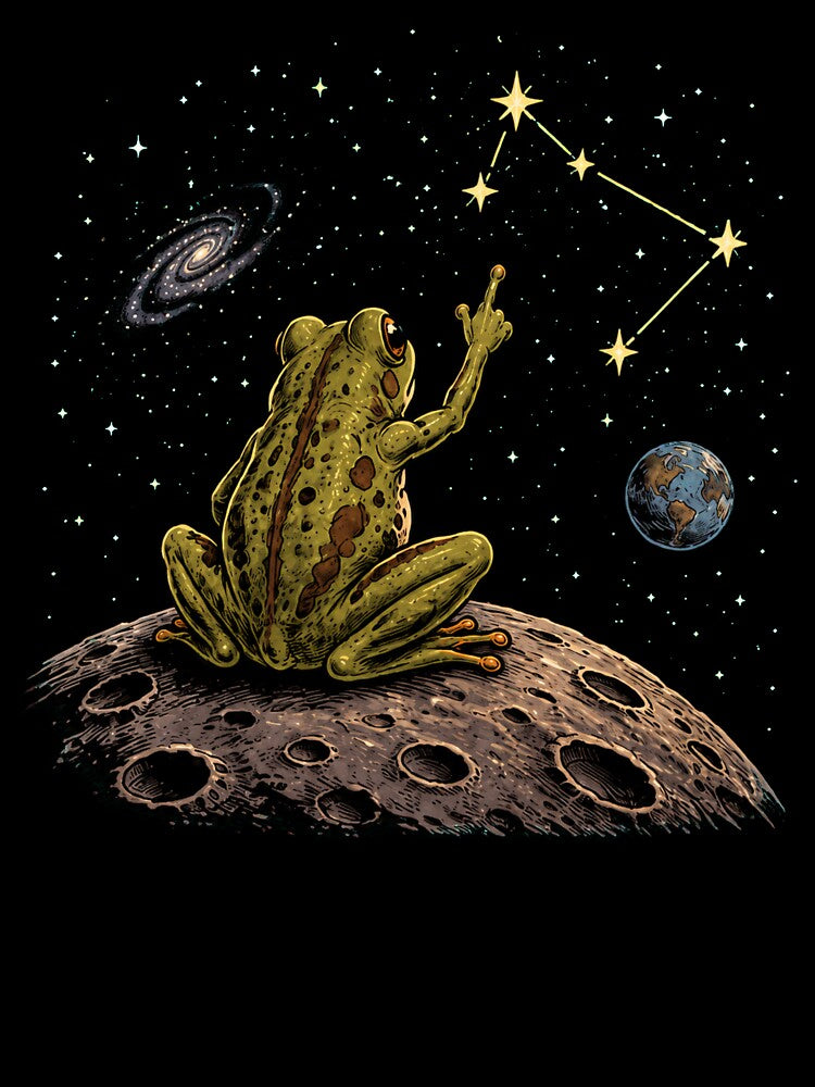 Frog on the moon by Konvero
