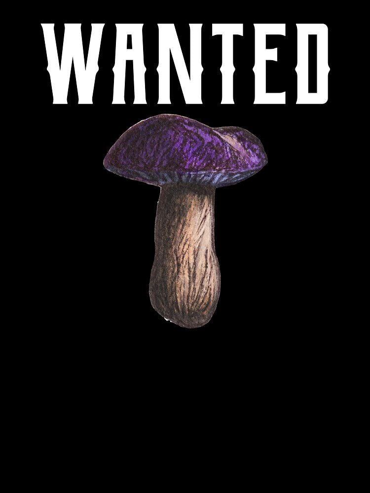 Wanted Mushroom Hunting by Obiscidan