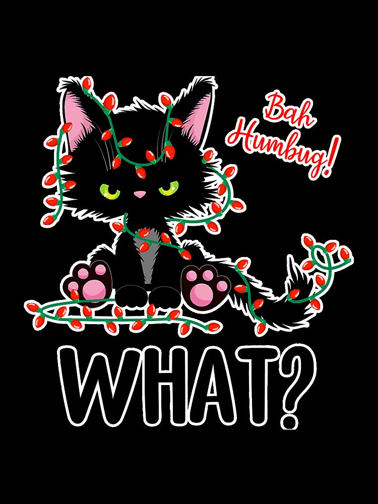 Cat What Funny Black Cat Tangled In by atalia8932