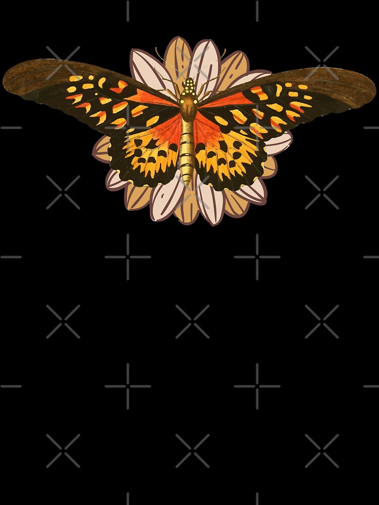 Moth on Flower by Veriepear
