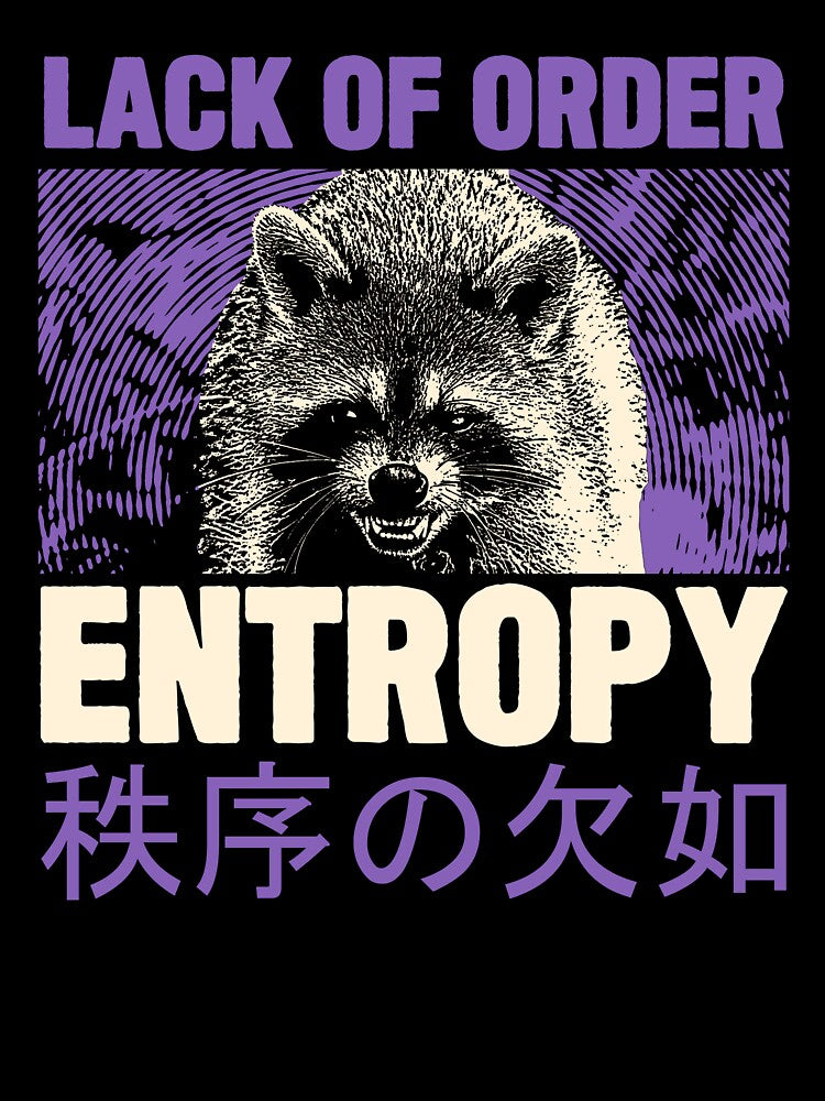 Entropy Raccoon by VintageMedatsu