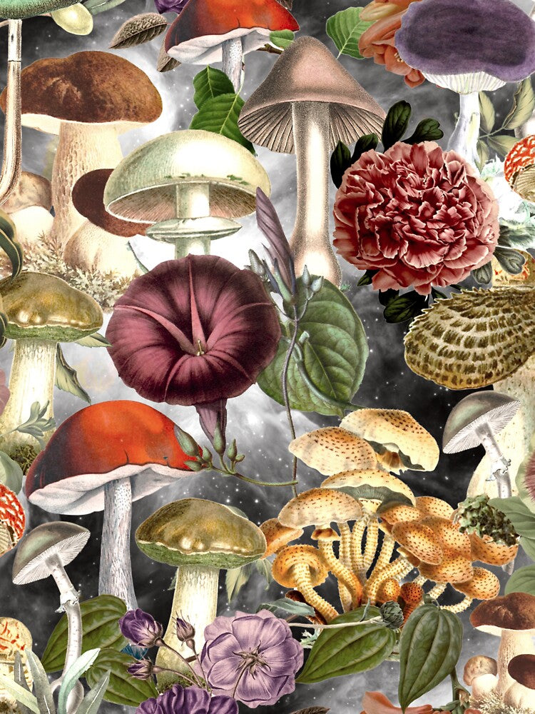 Vintage mushrooms and flowers garden, shrooms and fungi, botanical pattern, mushrooms illustration, seamless pattern, light grey pattern trendy by ZeinabTaha