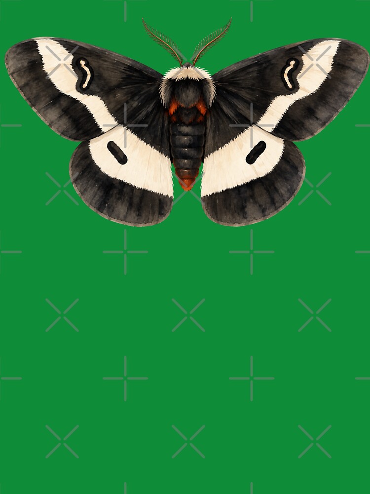 Buck Moth Hemileuca Maia Moth Watercolor Style by Harpagann