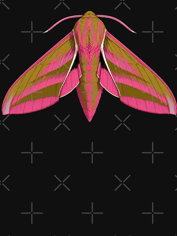 Elephant Hawk Moth Deilephila elpenor Anime Style by Harpagann