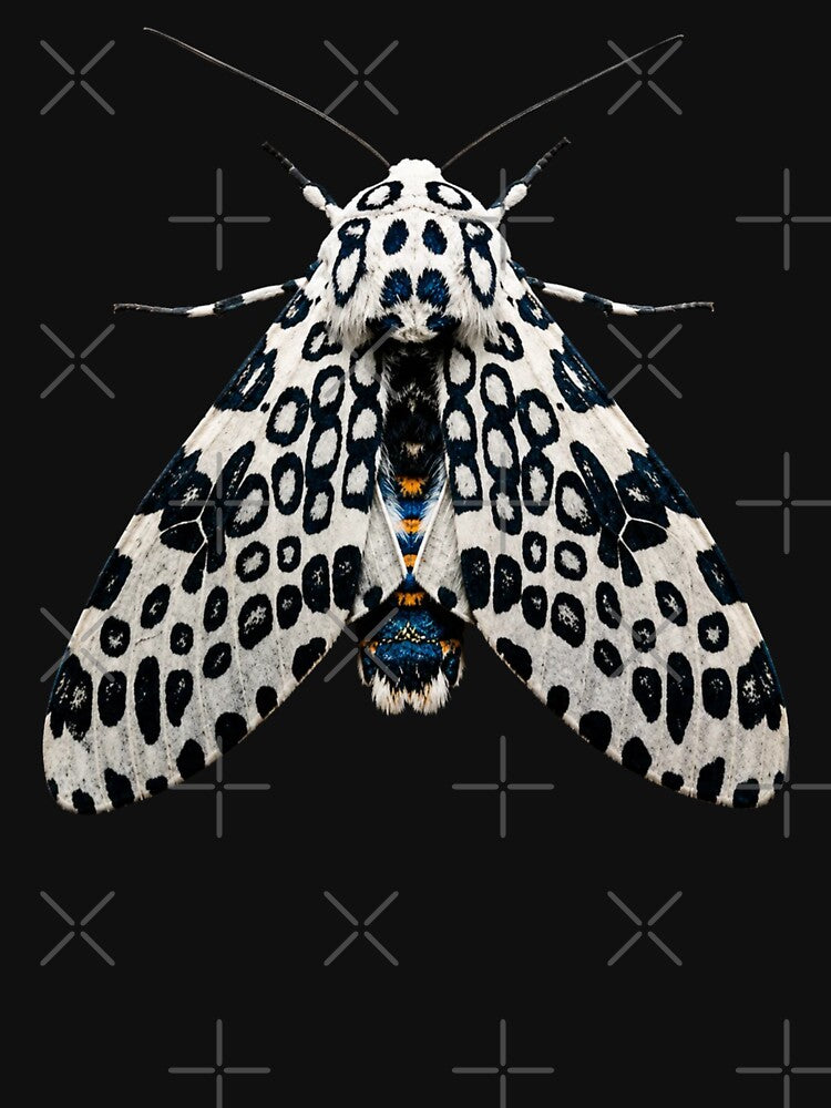 Giant Leopard Moth Hypercompe scribonia Realistic Style by Harpagann