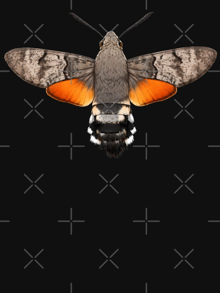 Hummingbird Hawk Moth Macroglossum stellatarum Realistic Style by Harpagann