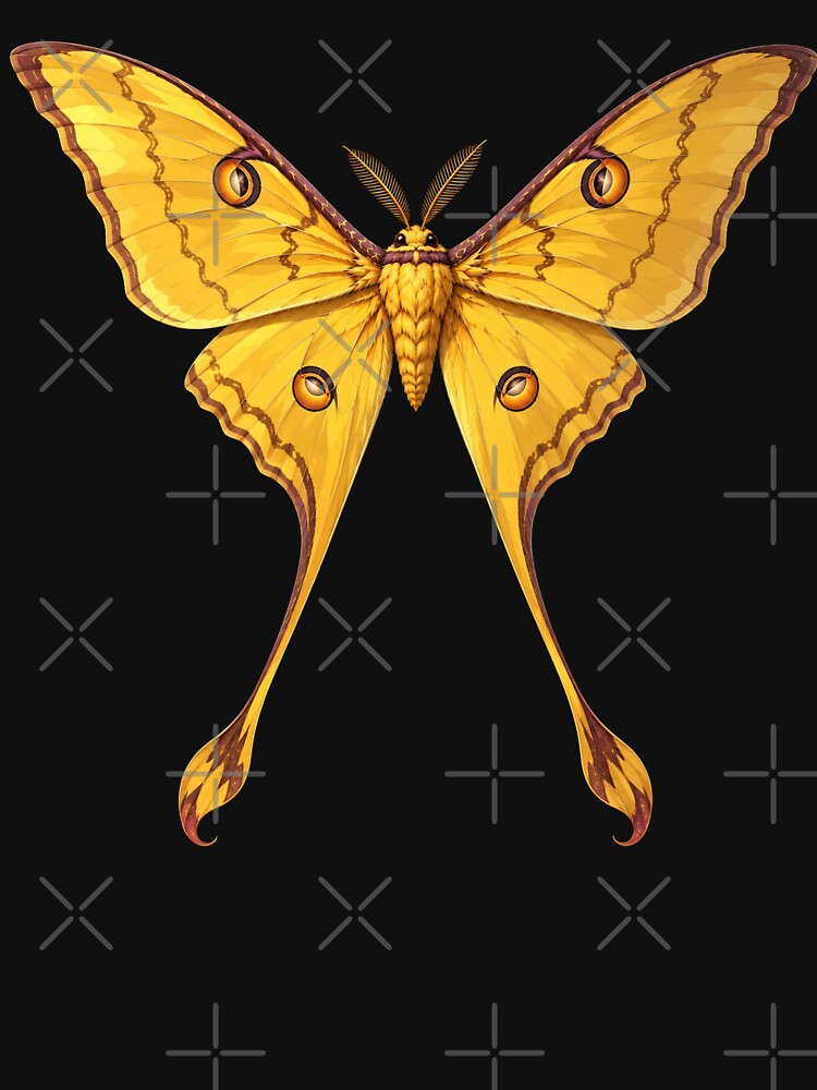 Comet Moth Argema mittrei Anime Style by Harpagann