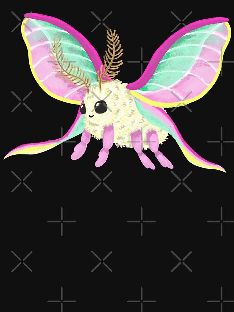 Cute little Chinese moon moth by Dailykindness