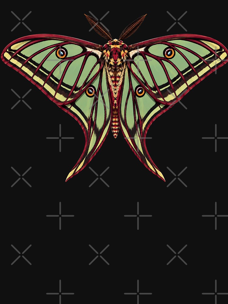 Spanish Moon Moth Graellsia isabellae Anime Style by Harpagann