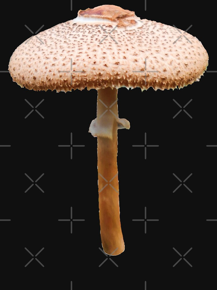 Graceful Parasol Mushroom by Maddy the Maker