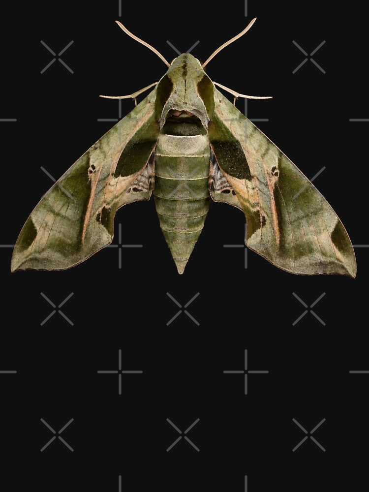Pandora Sphinx Moth Eumorpha Pandorus Realistic Style by Harpagann