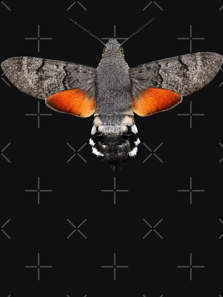 Hummingbird Hawk Moth Macroglossum stellatarum Watercolor Style by Harpagann