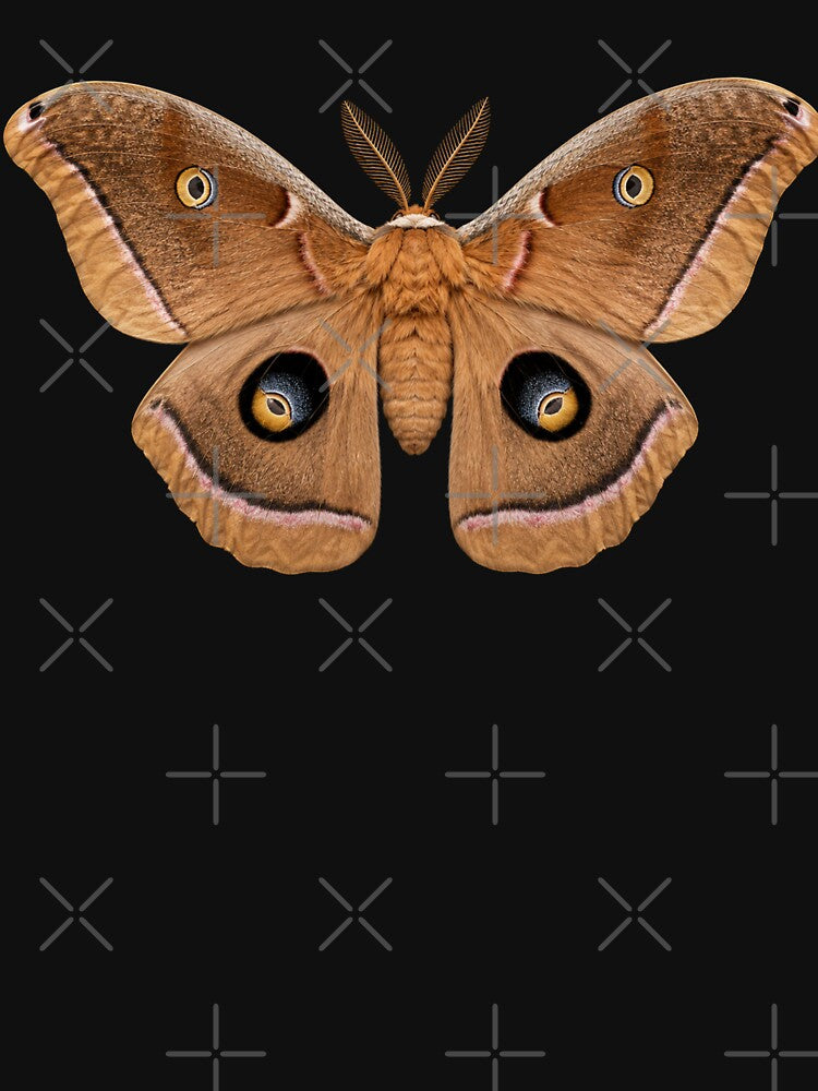 Polyphemus Moth Antheraea polyphemus Realistic Style by Harpagann
