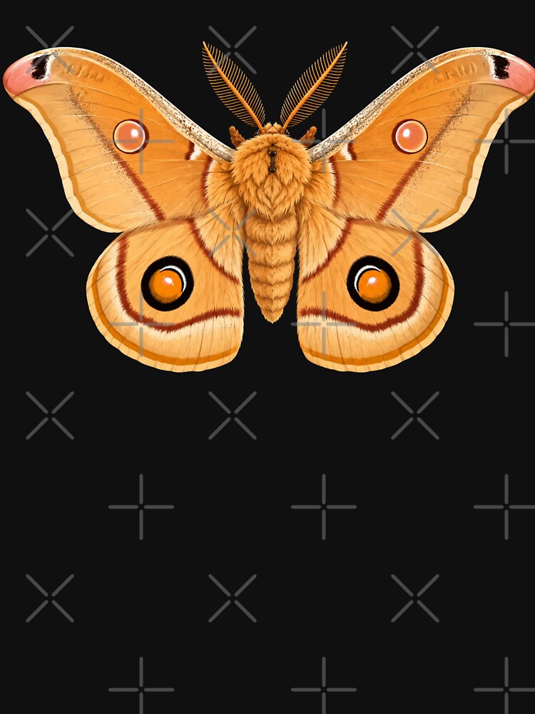 Emperor Gum Moth Opodiphthera eucalypti Cartoon Style by Harpagann
