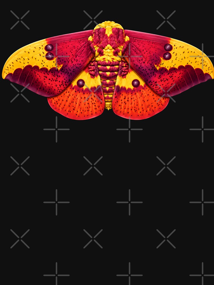 Imperial Moth Eacles imperialis Cartoon Style by Harpagann